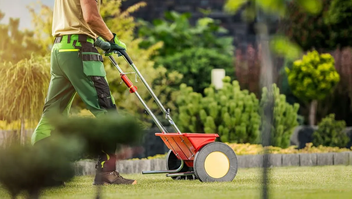Landscaping