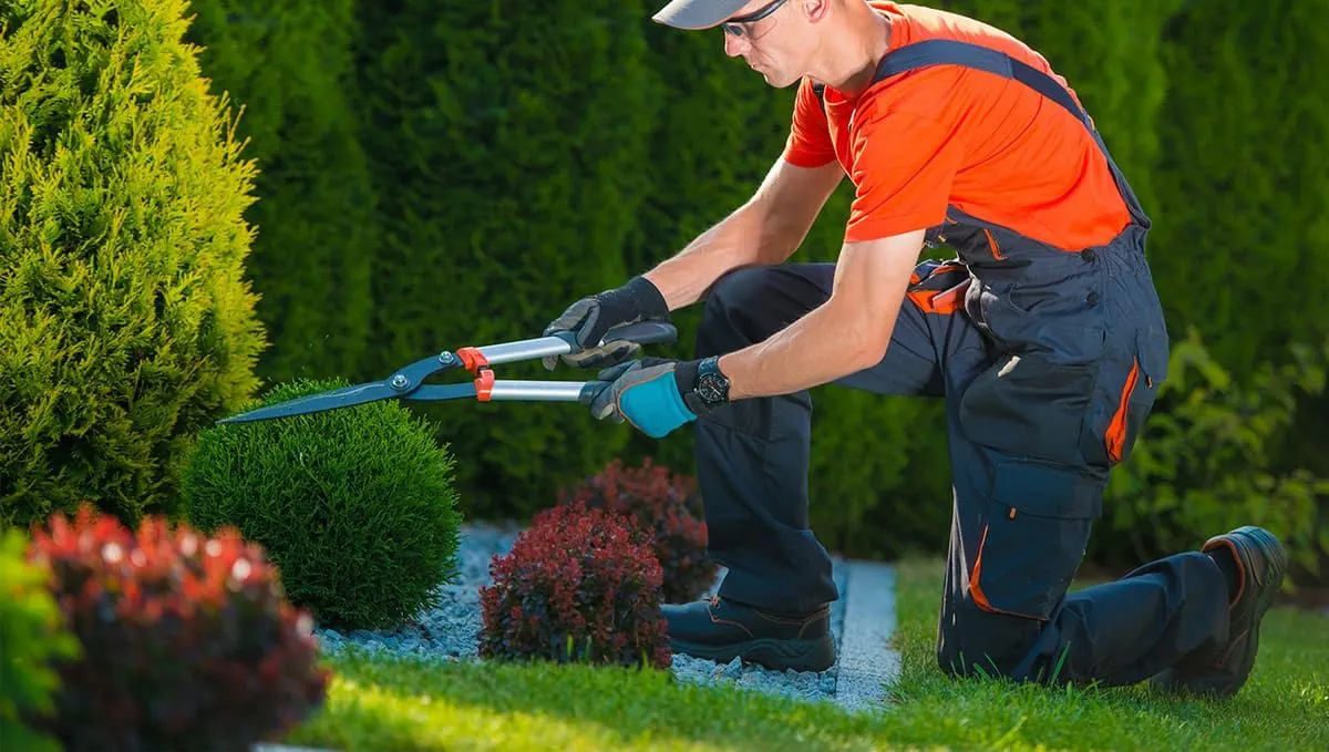 Using the Best Tools & Materials